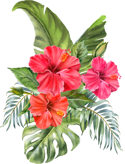 Tropical floral bouquet. Watercolor hibiscus flowers